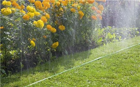 GARDENA 1995-20 Schlauch-Regner grün