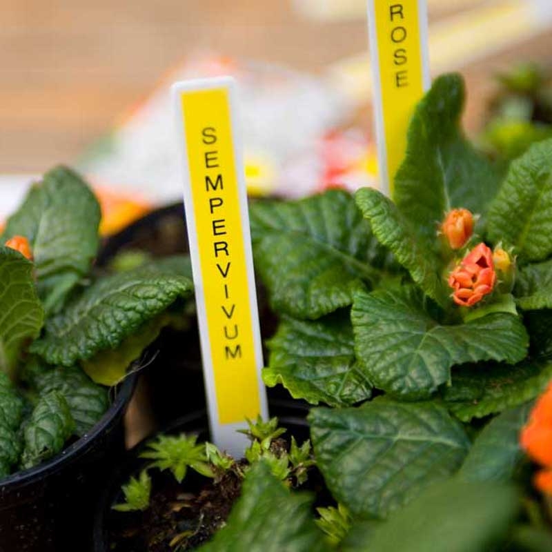 Brother TZe-631S P-Touch Schriftbandkassette gelb schwarz 12mm