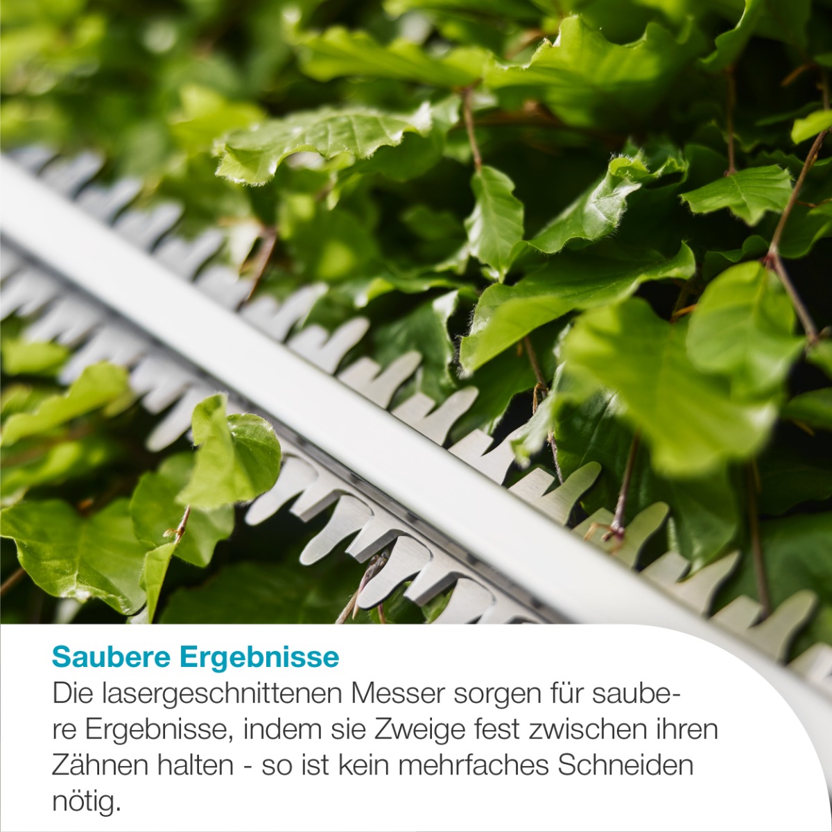 GARDENA 14734-55 Akku-Heckenschere EasyCut 45/18V P4A solo