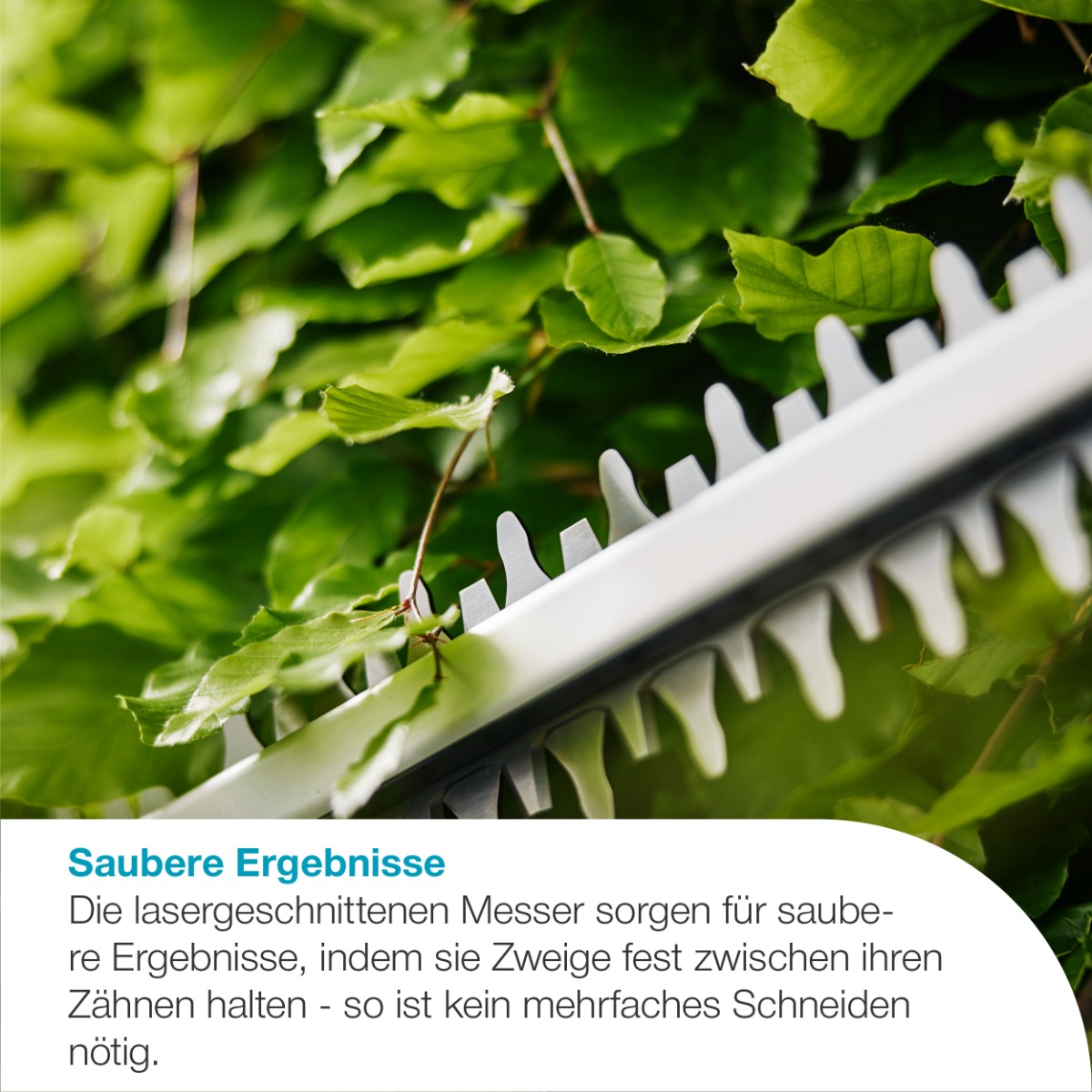 GARDENA 14735-55 Akku-Heckenschere EasyCut 55/18V P4A solo