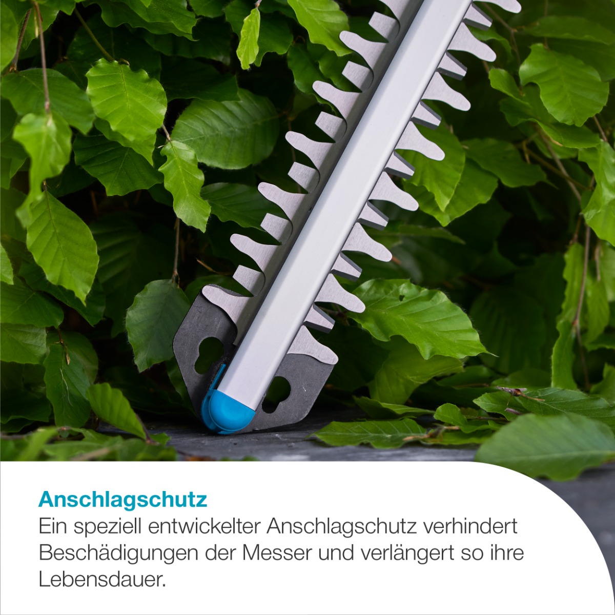 GARDENA 14735-55 Akku-Heckenschere EasyCut 55/18V P4A solo