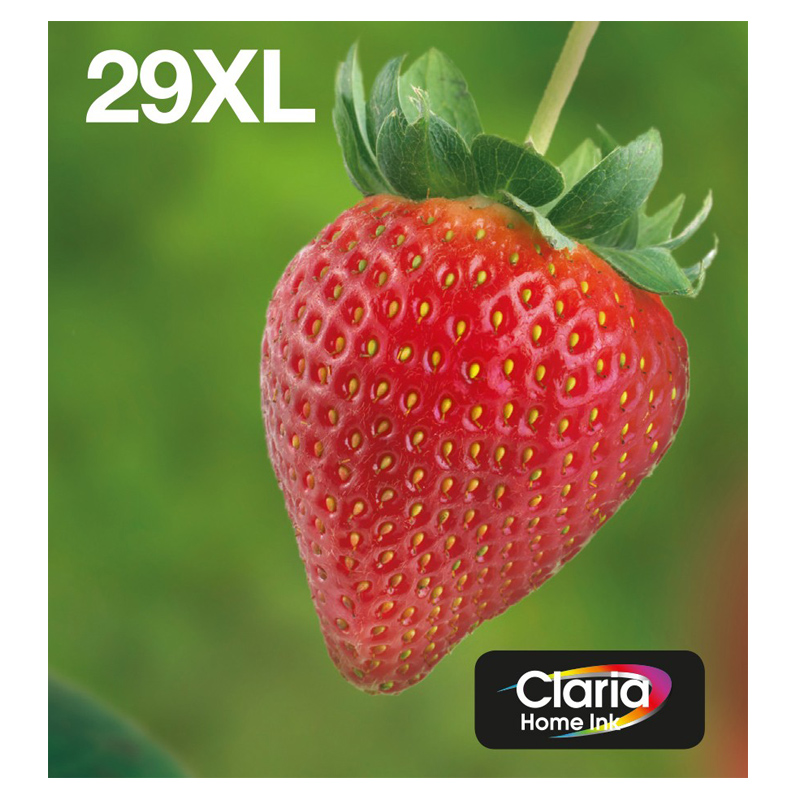 Epson 29XL 4er Multipack Tinte