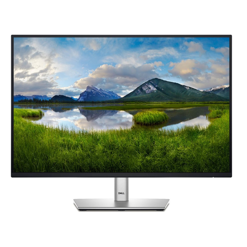 Dell P2425 61 cm (24 Zoll) LED-Monitor