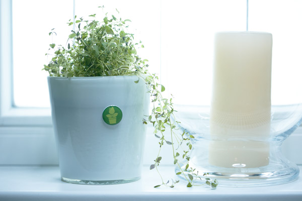 touchables NFC-Smart Tag Organize Set