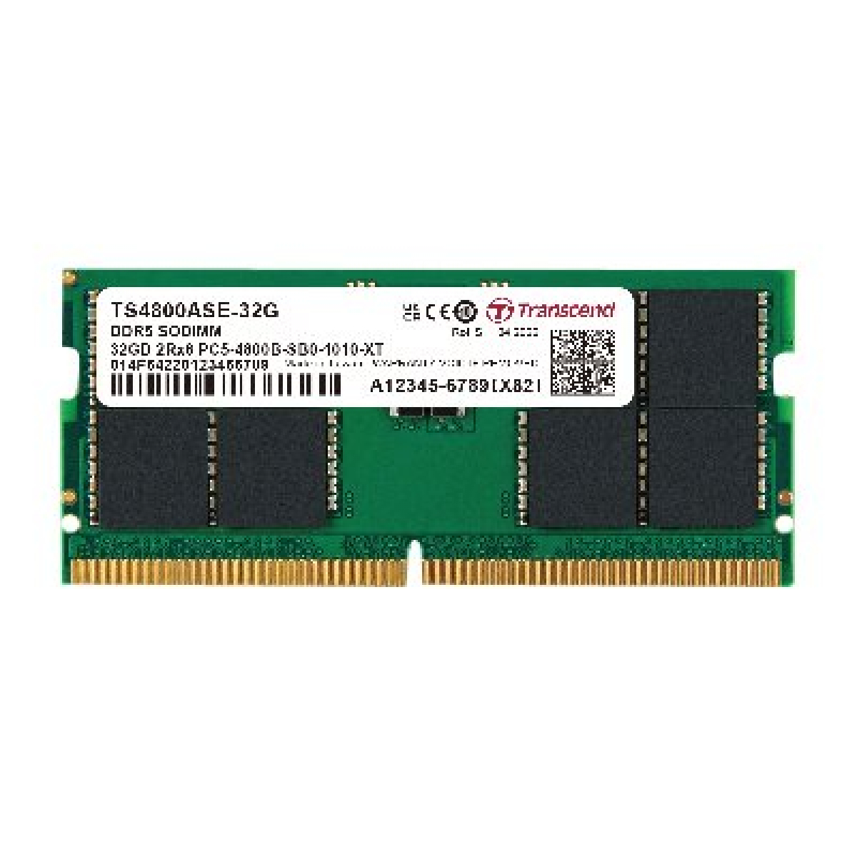 Transcend JetRam 32GB DDR5-4800 Arbeitsspeicher