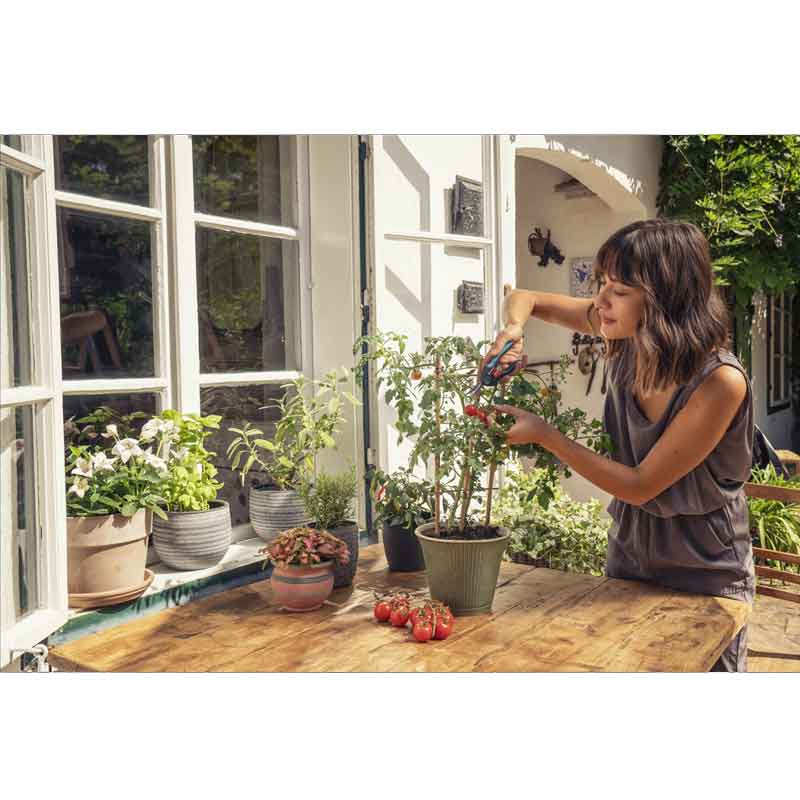 GARDENA 12214-20 HerbCut