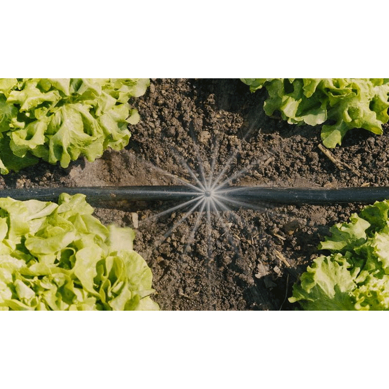 GARDENA 13450-20 Micro-Drip-System Tropfbewässerung Set Gemüse-/Blumenbeet (60 m²)