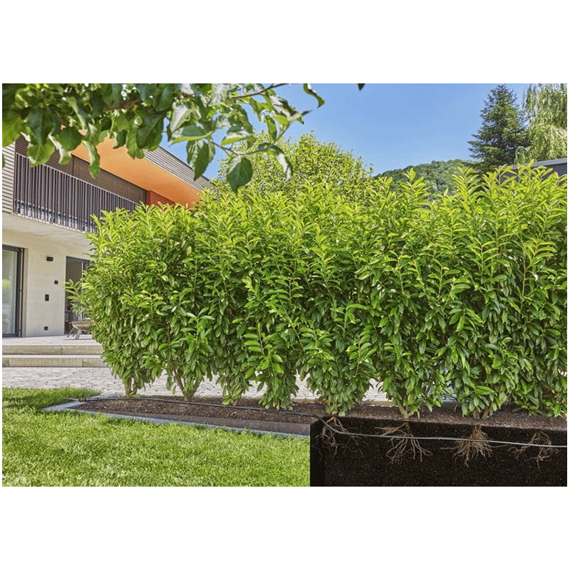 GARDENA 13504-20 Micro-Drip-System Tropfrohr 1,6 l/h, ober- und unterirdische Verlegung (50 m)