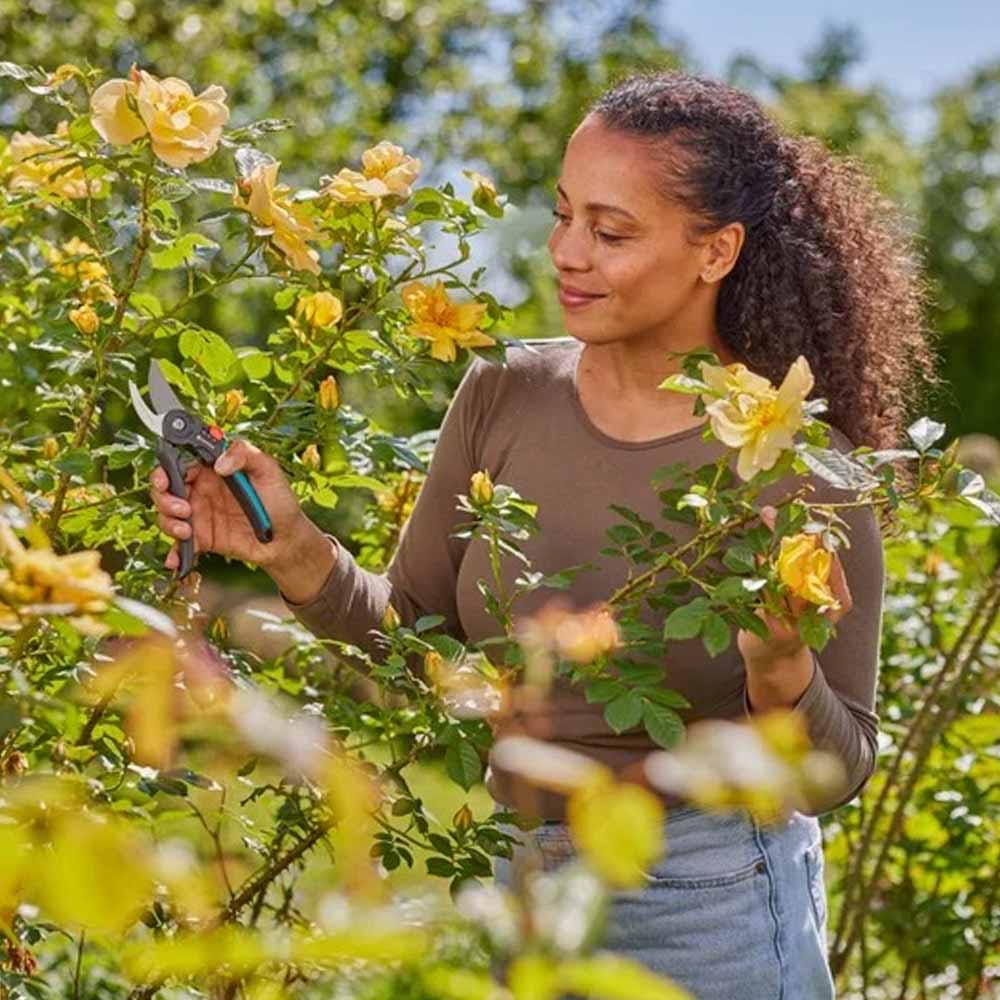 GARDENA 12242-20 Gartenschere PremiumCut Flex