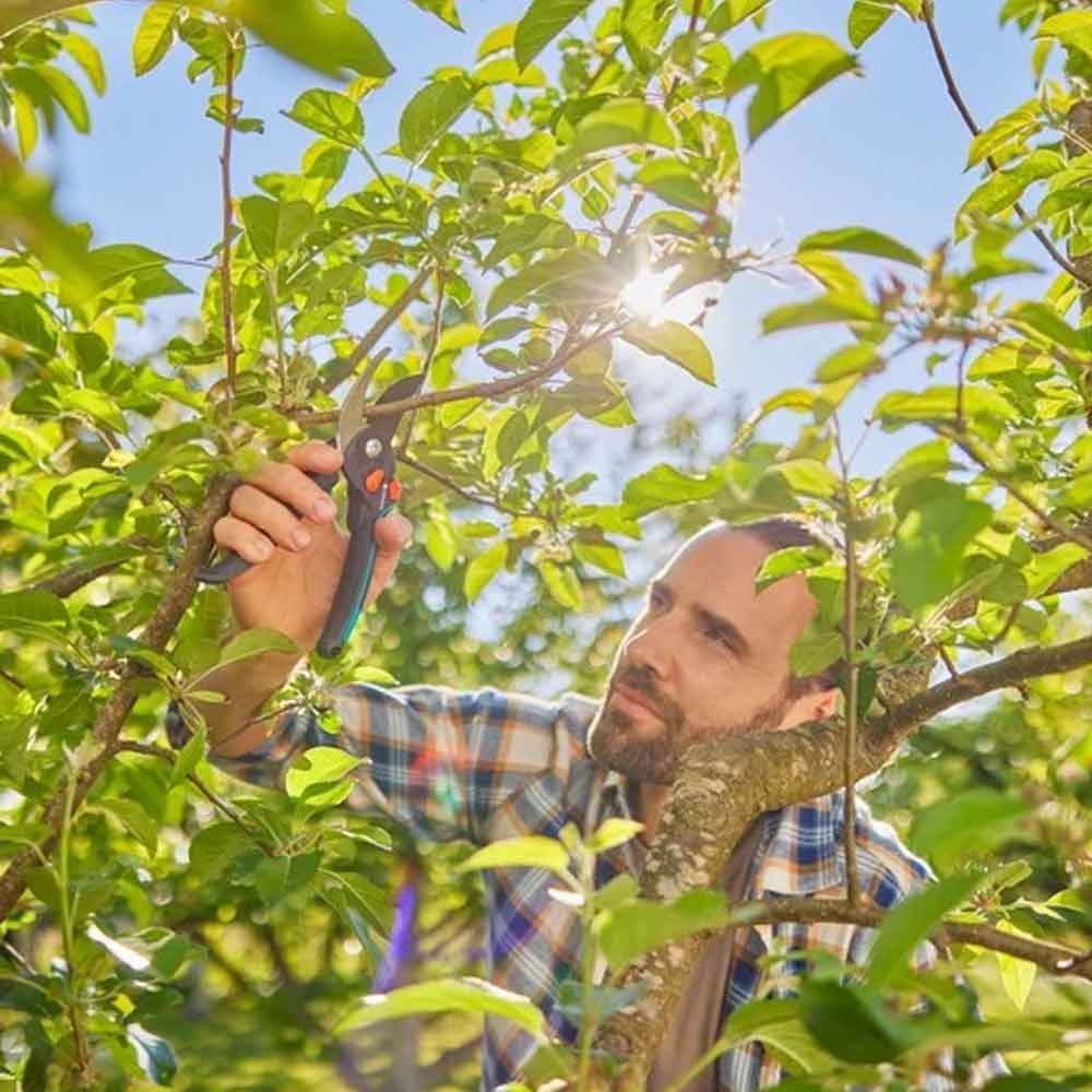 GARDENA 12252-20 Gartenschere PremiumCut Pro Flex