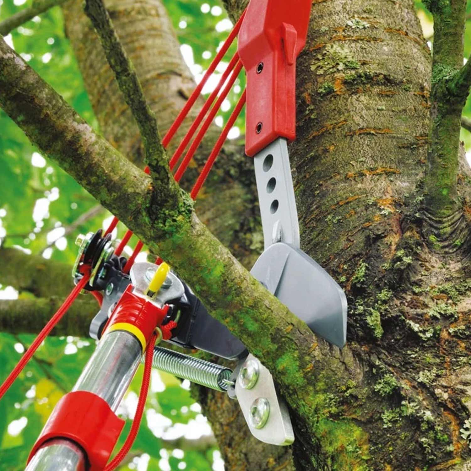 WOLF-Garten RC-VM multi-star Profi-Baumschere rot