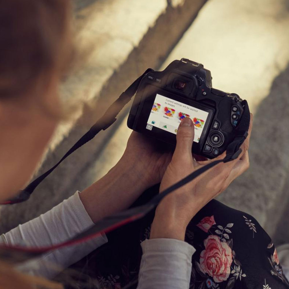 Canon EOS 250D Gehäuse + EF-S 18-55mm f4-5.6 IS STM Objektiv schwarz