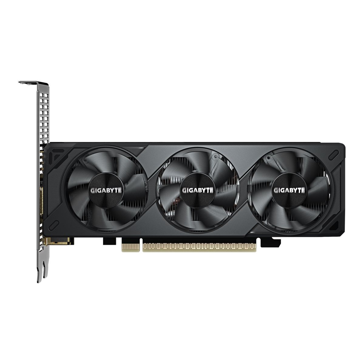Gigabyte GeForce RTX 5060 OC Low Profile 8G Grafikkarte