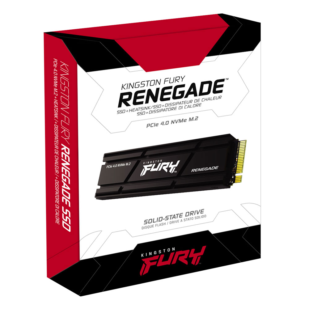 Kingston FURY Renegade PCIe 4.0 SSD 4TB schwarz