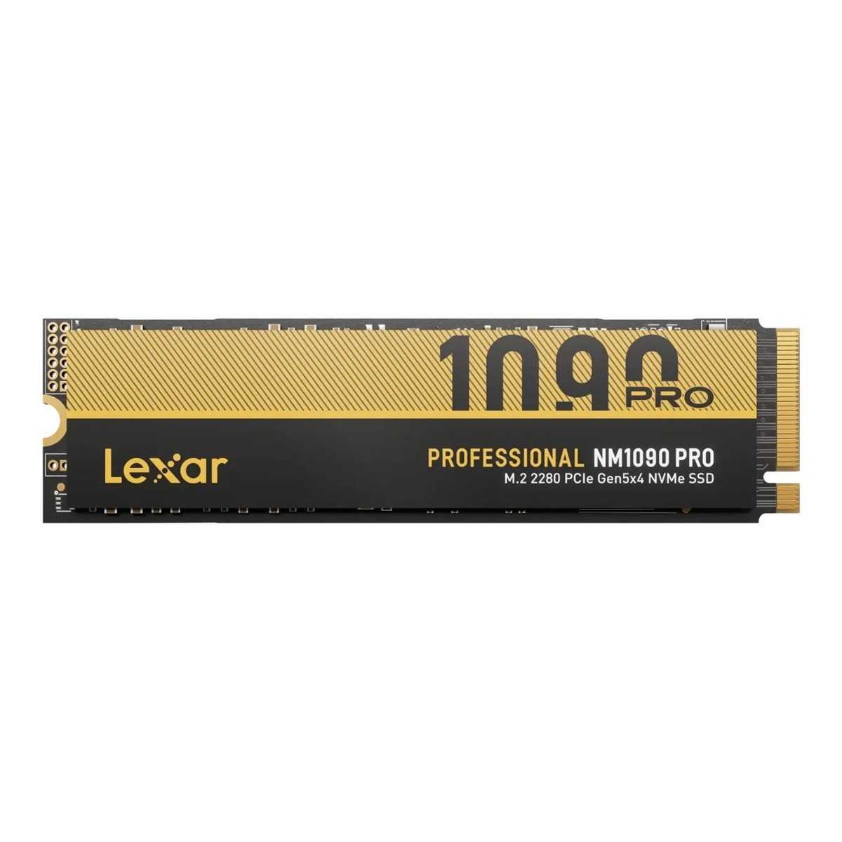 Lexar Professional NM1090 Pro PCIe 5.0 NVMe SSD 1TB