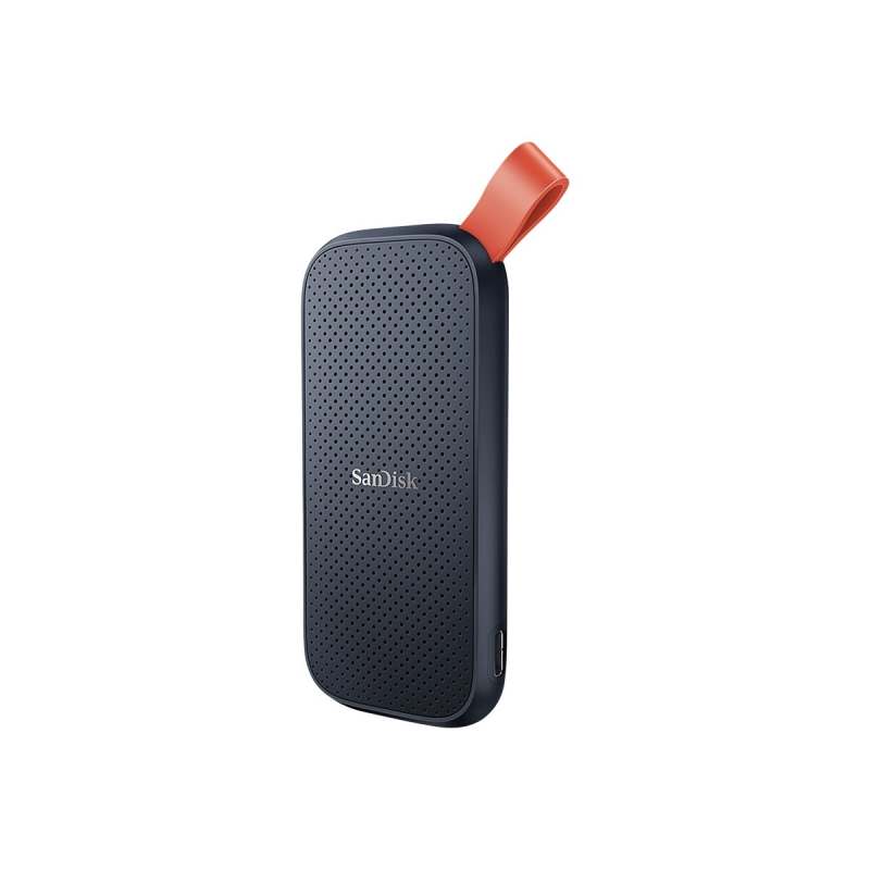 SanDisk Portable SSD 480 GB schwarz