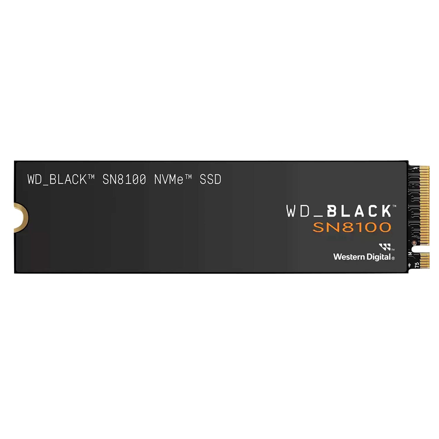 WD_Black SN8100 NVMe SSD 1TB
