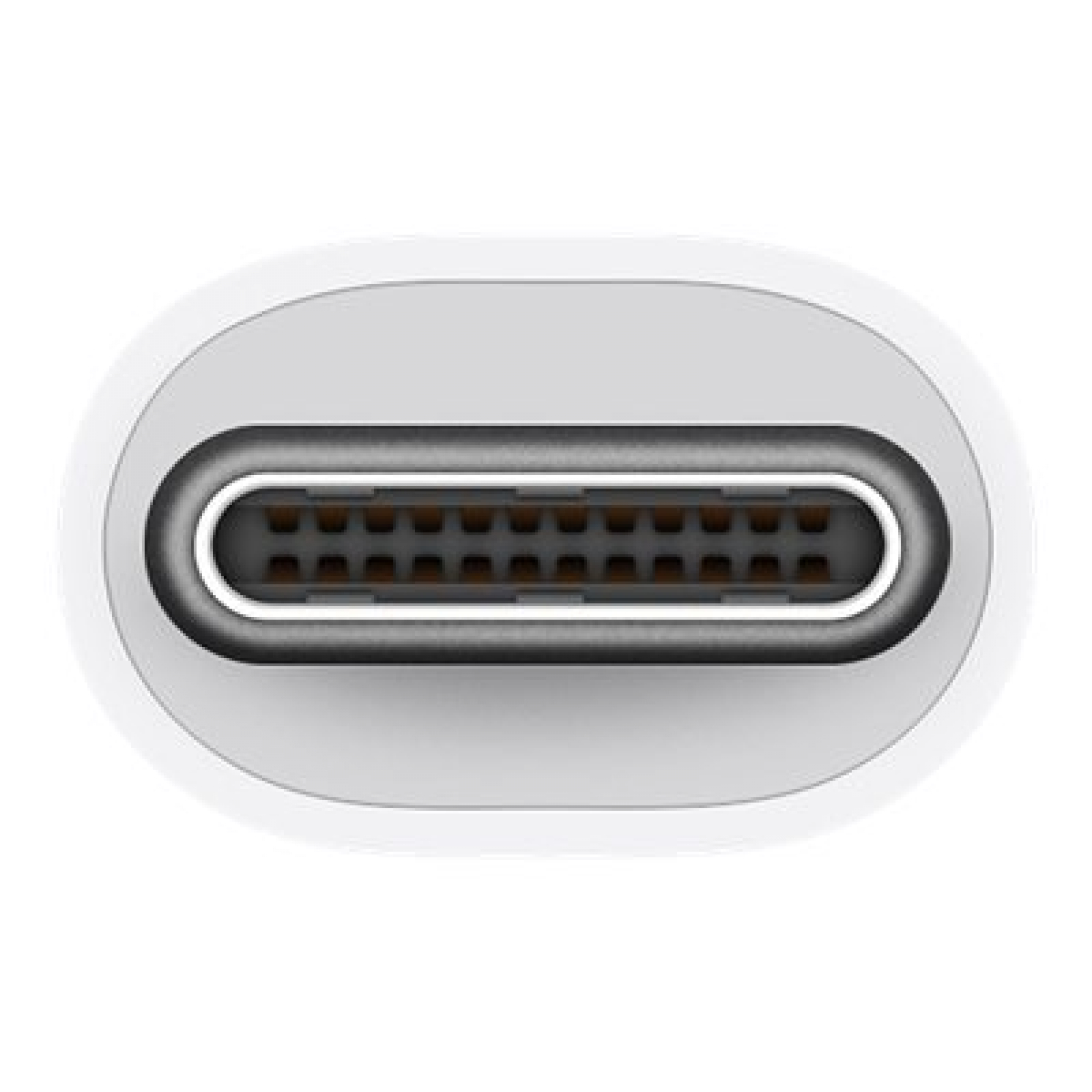 Apple USB-C-VGA-Multiport-Adapter