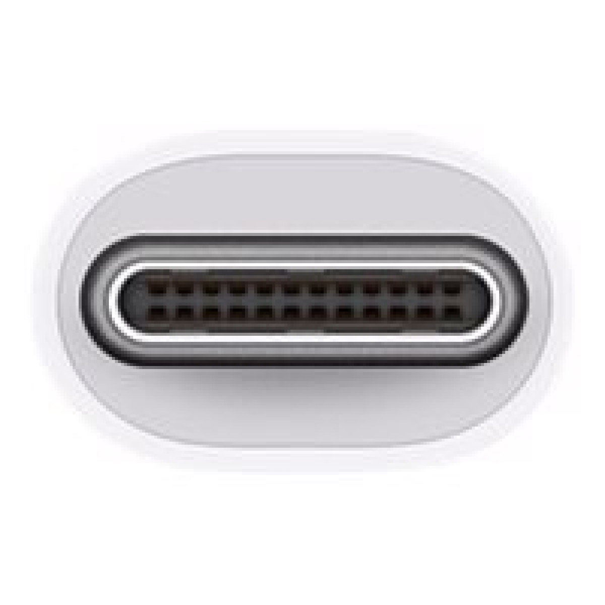Apple USB-C-VGA-Multiport-Adapter