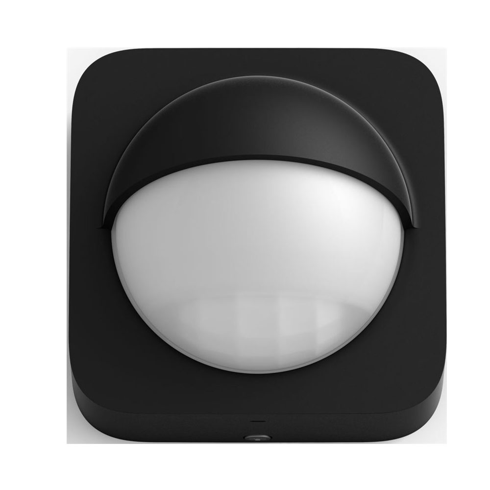 Philips Hue Bewegungsmelder Outdoor schwarz