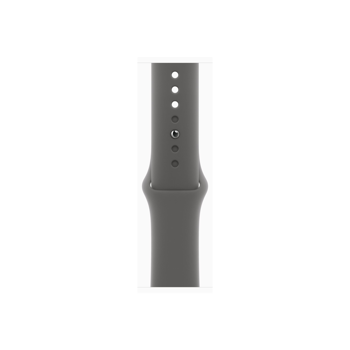 Apple Watch Series 10 4G 46mm Titan Natur Sportarmband Steingrau S/M