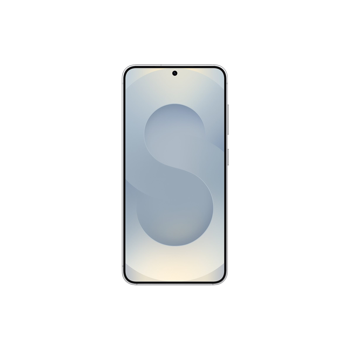 Samsung Galaxy S25 Enterprise Edition 256GB 5G Smartphone silver shadow