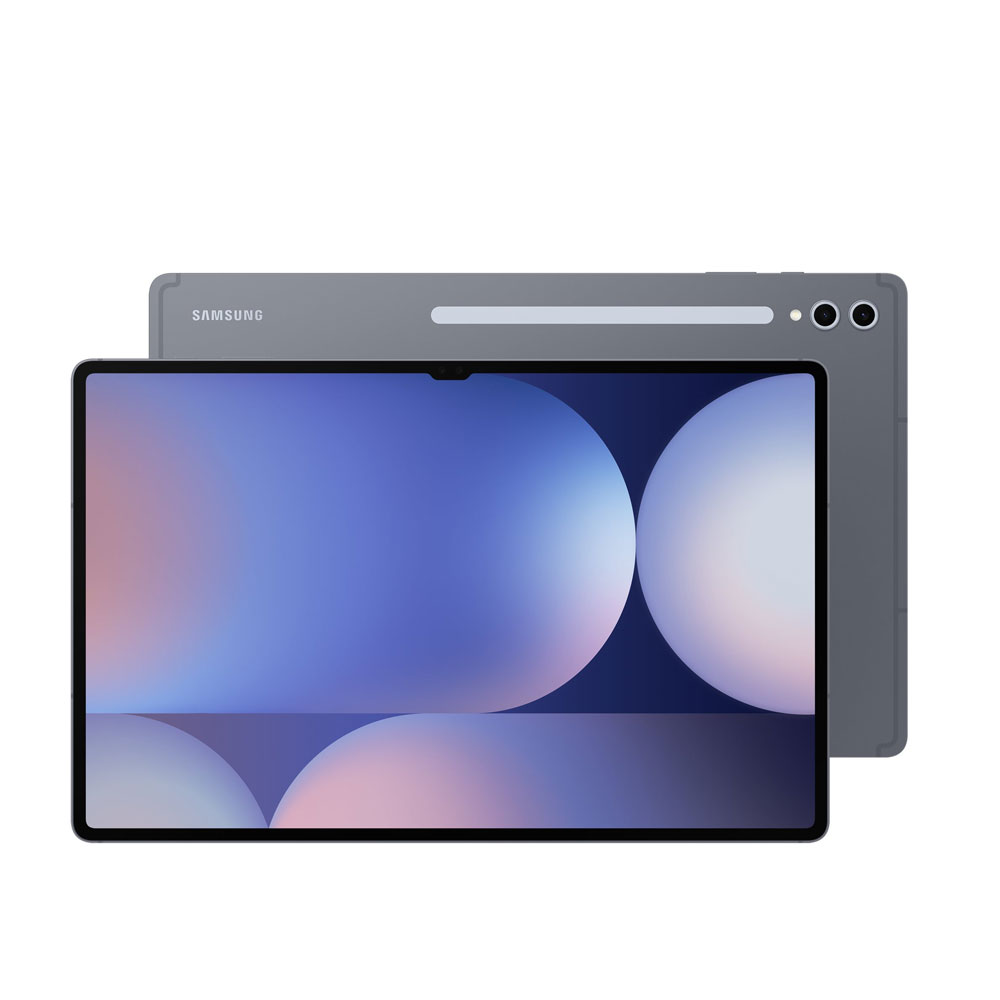 Samsung Galaxy Tab S10 Ultra 256GB WiFi Tablet grau