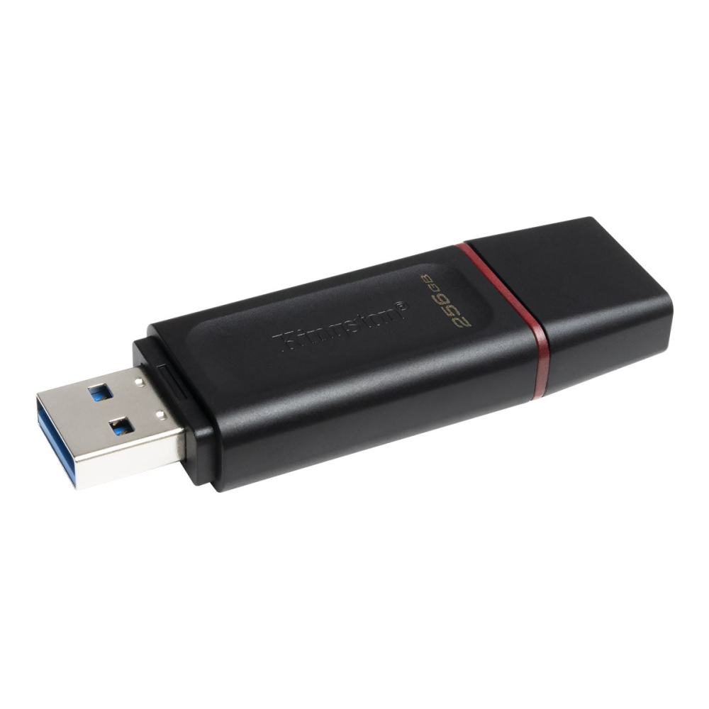 Kingston DataTraveler Exodia DTX/256GB USB-Stick 3.2 Gen 1