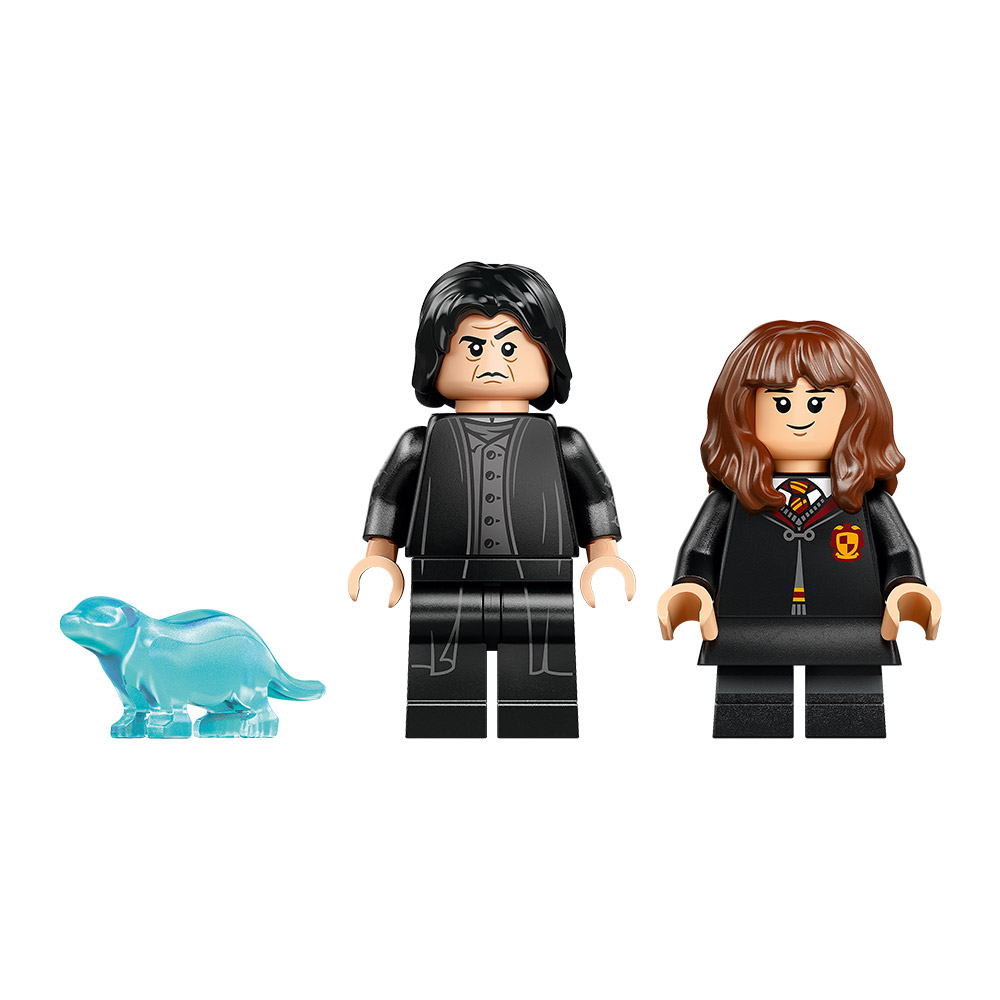 LEGO Harry Potter Der Kessel: Versteckter Zaubertrankunterricht (76464)