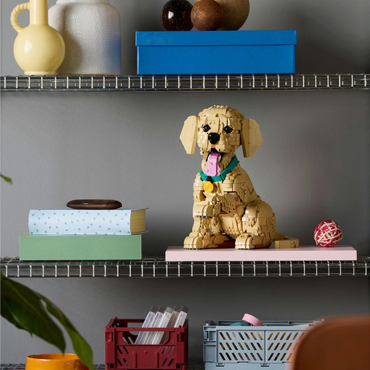 LEGO Icons - Golden Retriever Welpe (11384)
