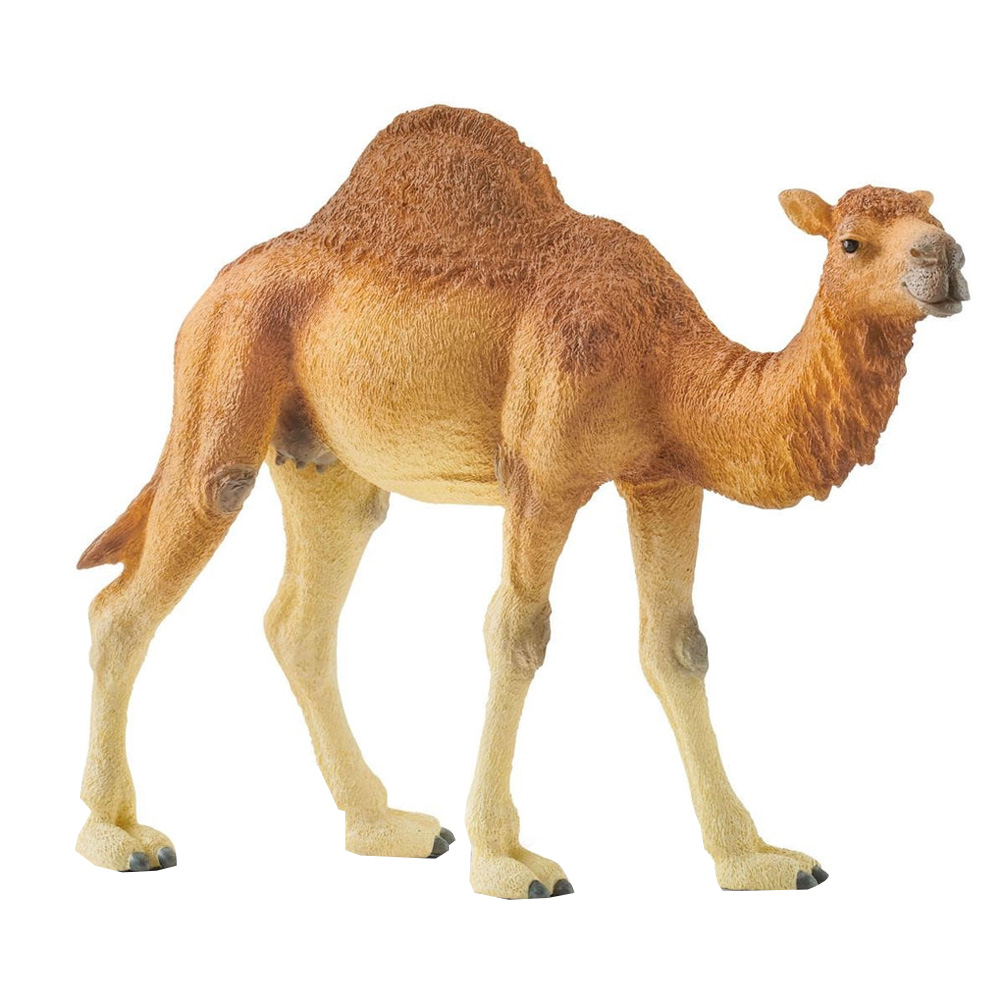 Schleich Dromedar (14832)