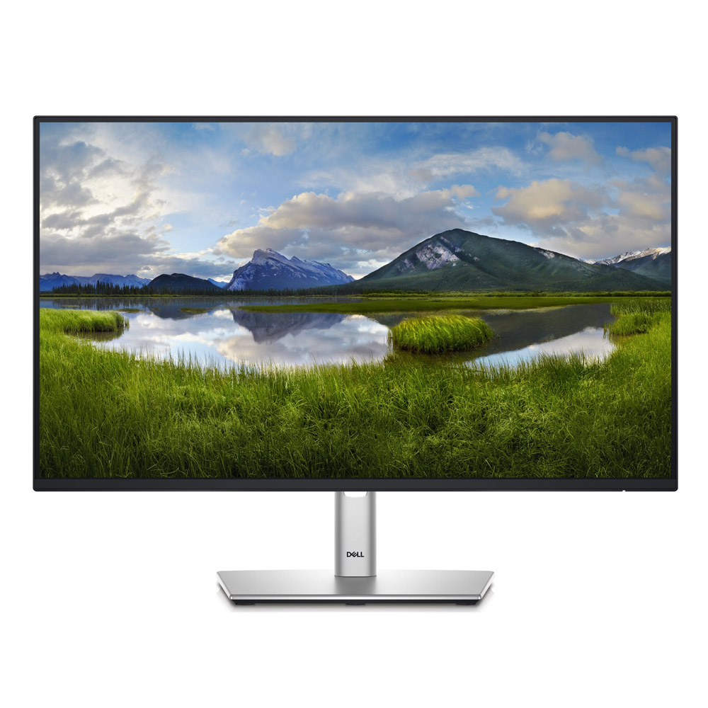 Dell P-Series P2425HE 61 cm (24 Zoll) LED-Monitor