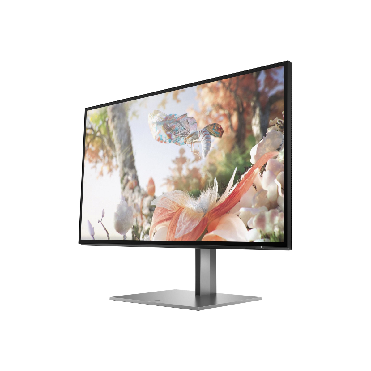 HP Z25xs G3 63,5 cm (25 Zoll) LED-Monitor