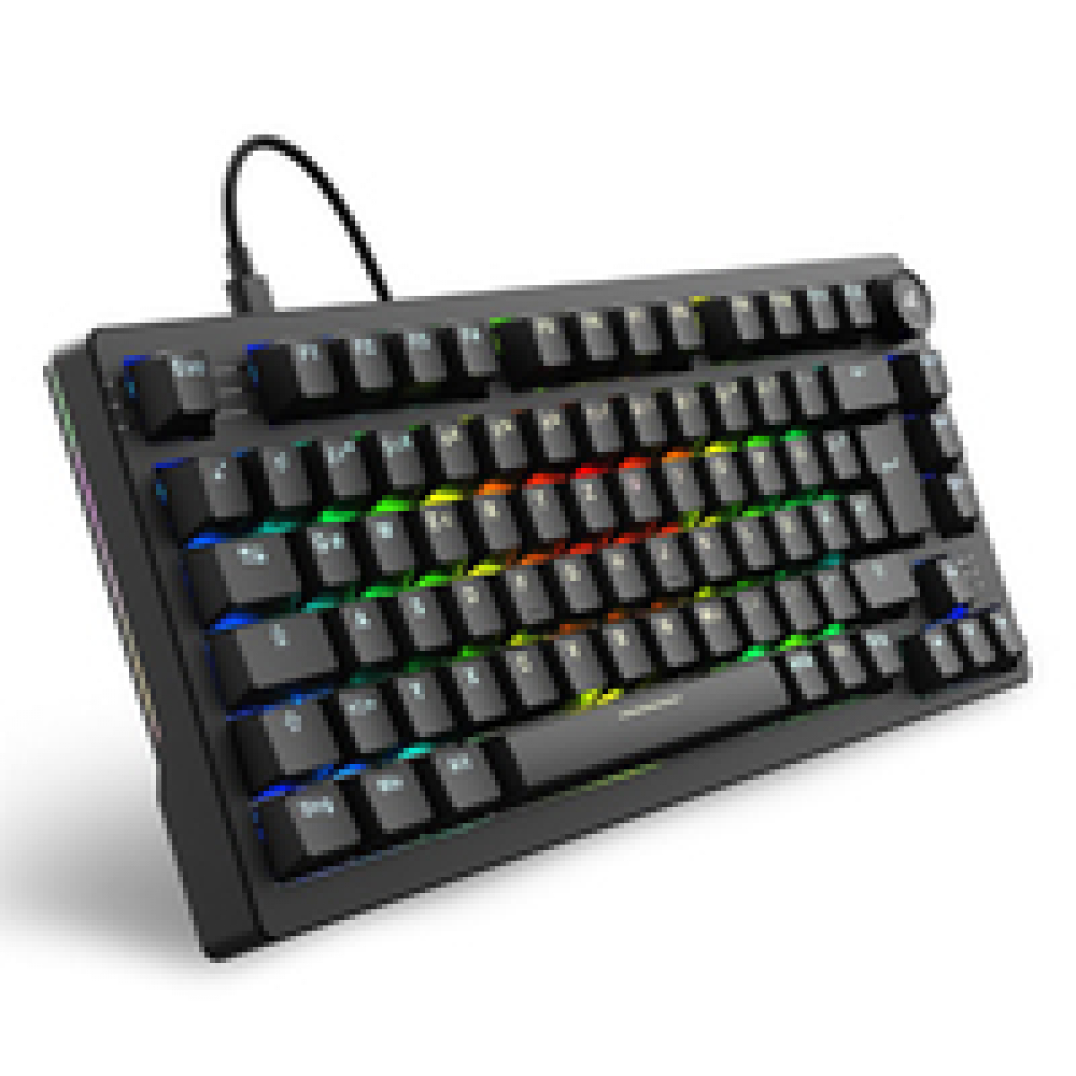 Sharkoon Skiller SGK25 RGB Gaming Tastatur schwarz