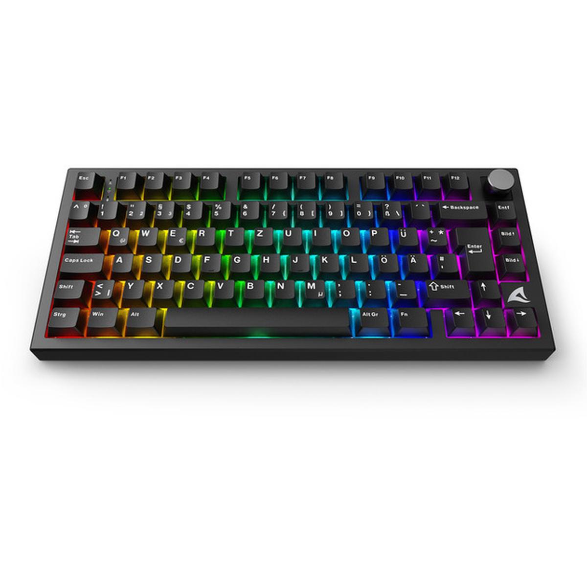 Sharkoon Skiller SGK55W Kabellose Gaming-Tastatur
