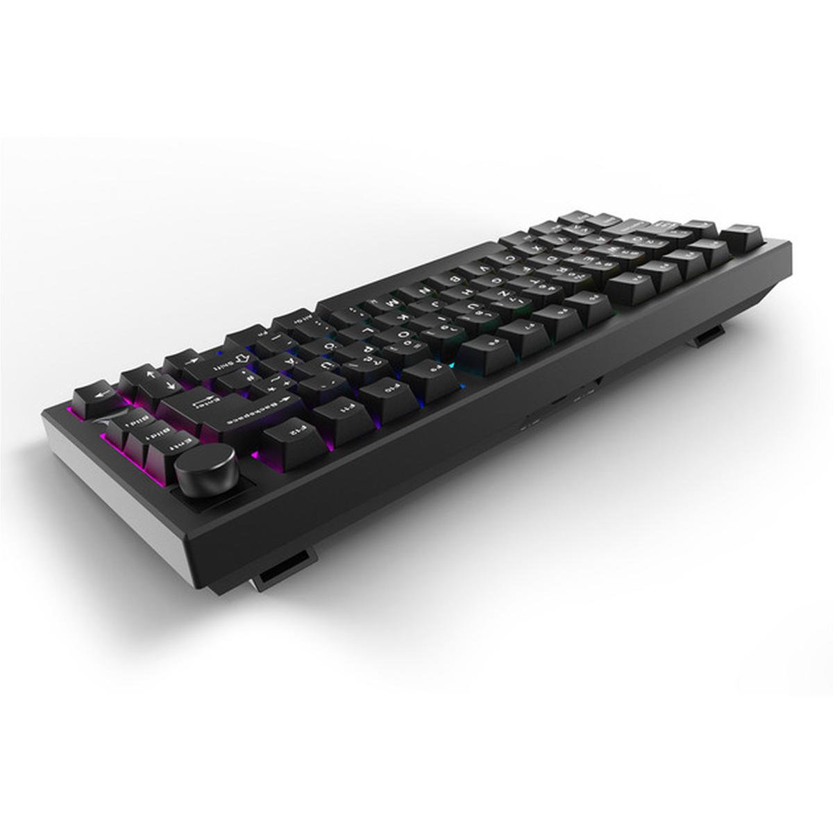 Sharkoon Skiller SGK55W Kabellose Gaming-Tastatur