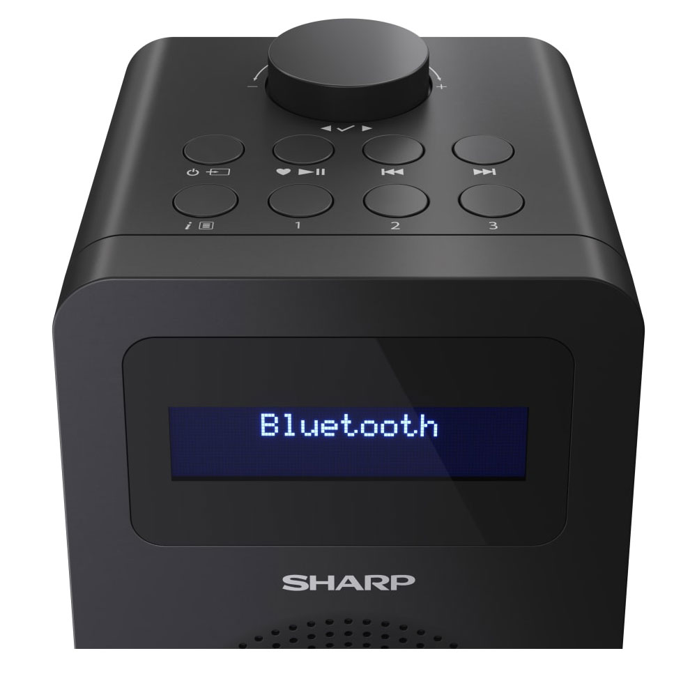 Sharp DR-430 Digitalradio schwarz