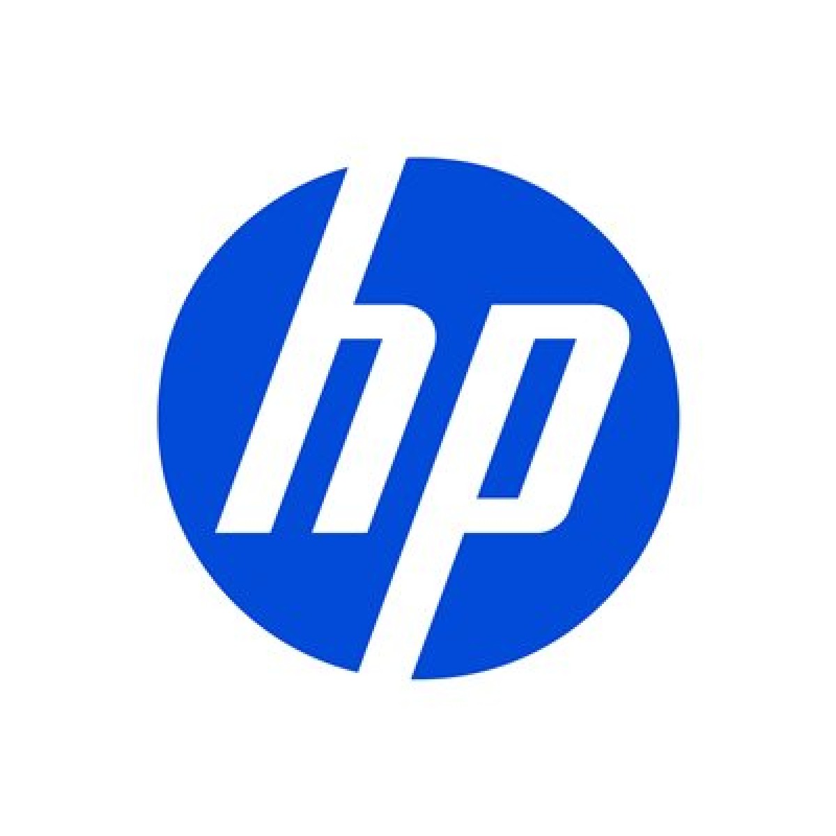 HP Fotopapier matt 10x15cm 25 Blatt