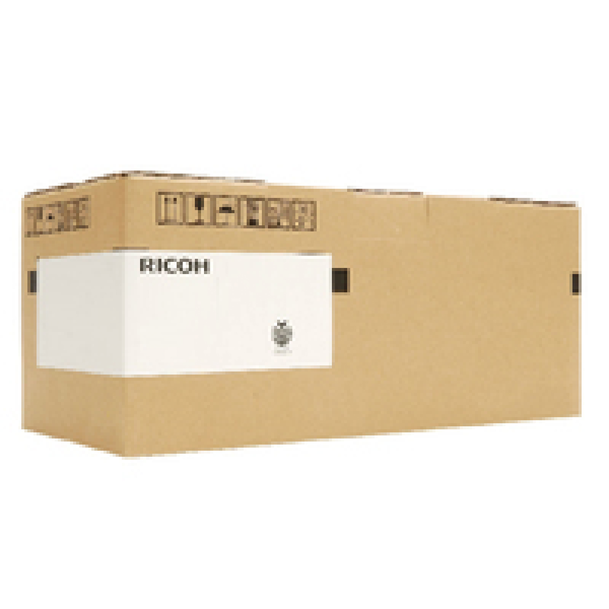 Ricoh D1979641 Entwicklereinheit schwarz
