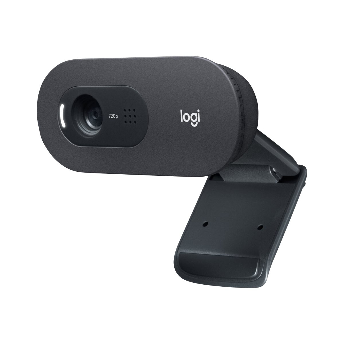 Logitech C505 HD Webcam schwarz