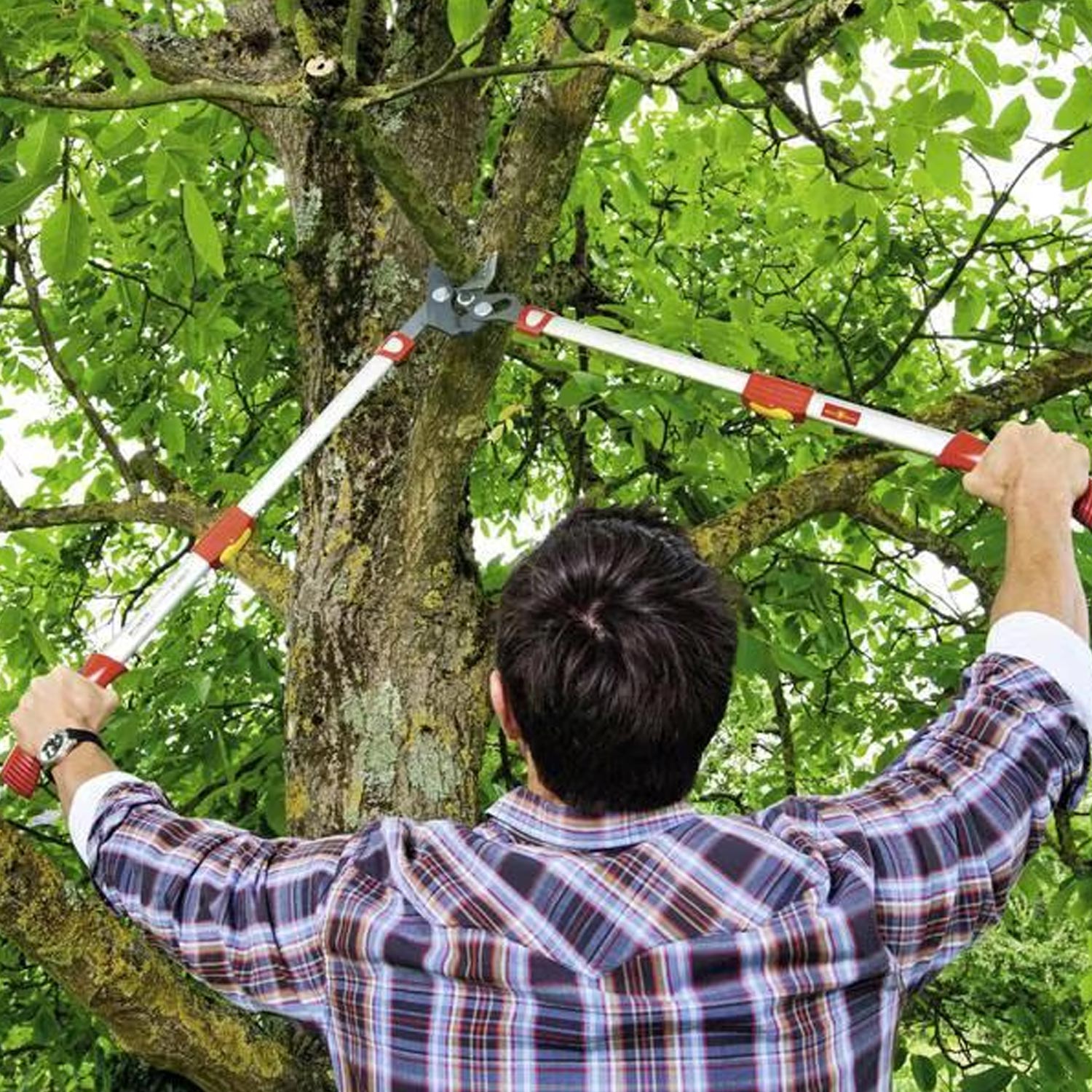 WOLF-Garten RS 900 T Power Cut Premium Plus Amboss-Astschere rot/grau